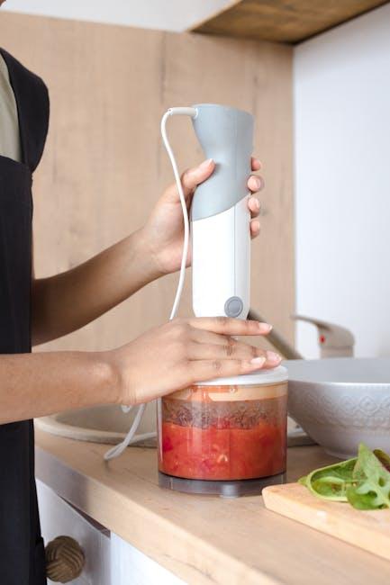 Best Hand Blender – Breville BSB500XL Control Grip Review