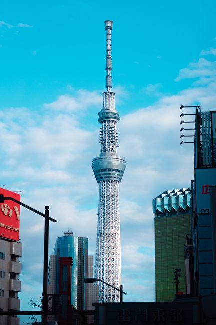 When is the Best Time to Go to Tokyo? A Friendly Guide for Planning Your Perfect Trip